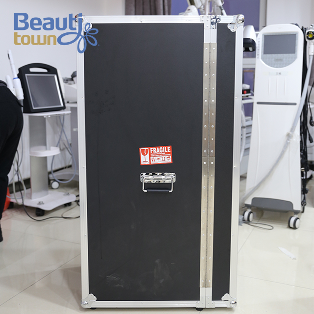 Diode Laser Hair Removal Machine Price with Two Handles