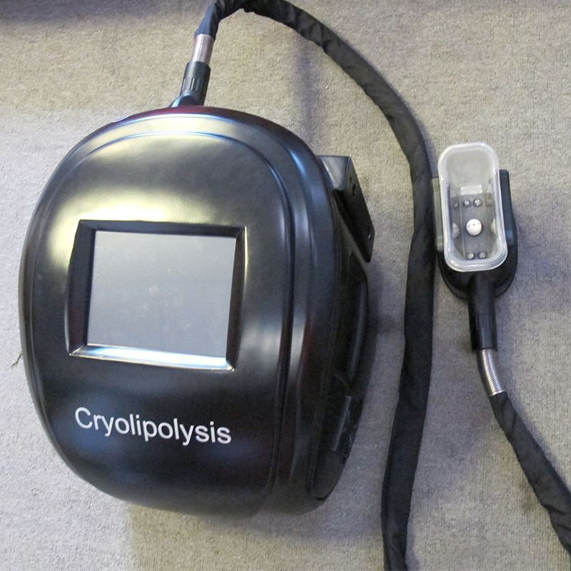 Bought Latest Cryolipolysis Slimming Fat Freeze Machine